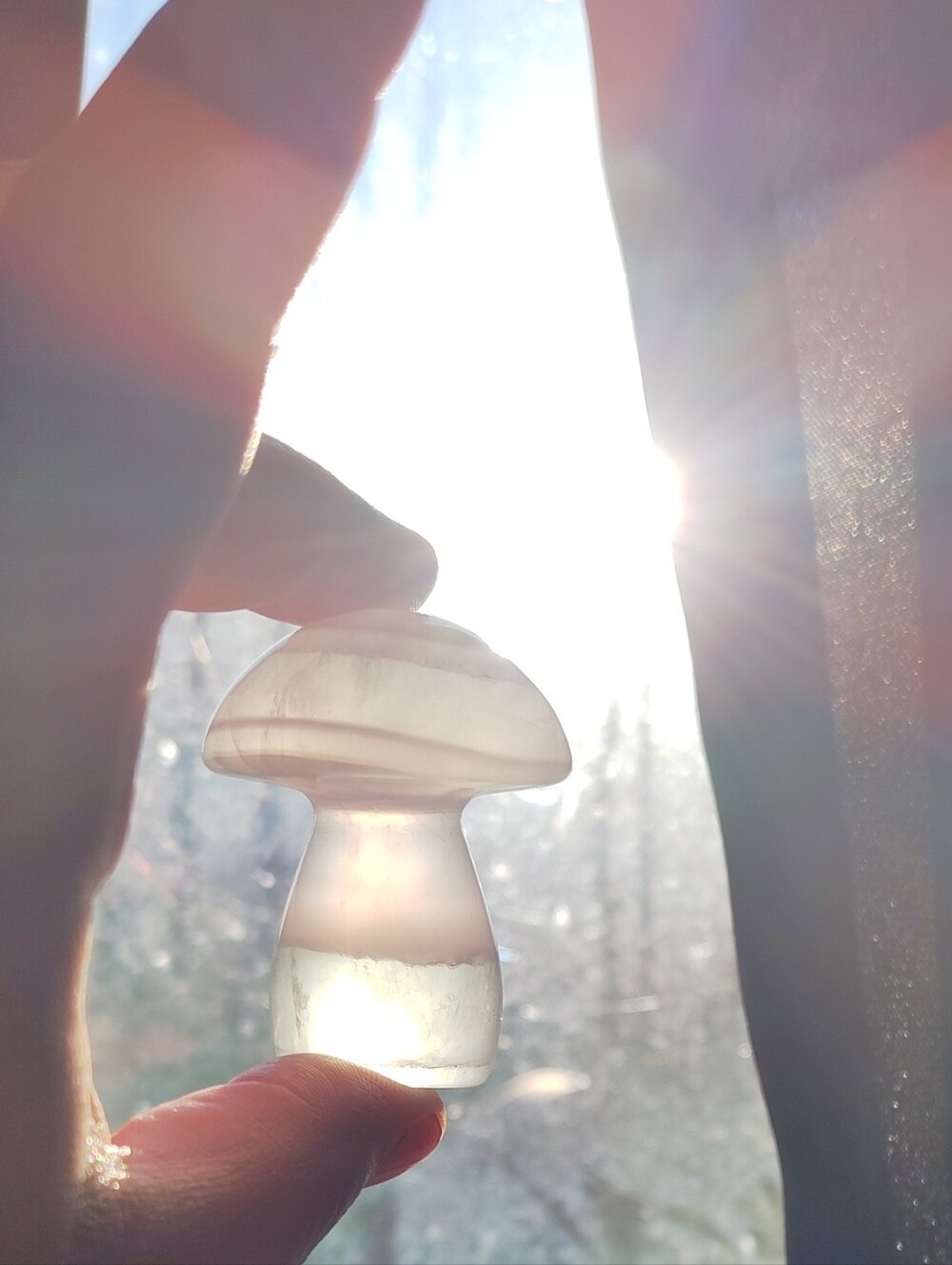 Fluorite Crystal Mushroom Carvings